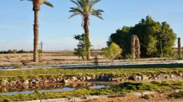 بيئة رابغ تطلق جولة إرشادية لدعم المزارعين وتعزيز الاستدامة الزراعية
